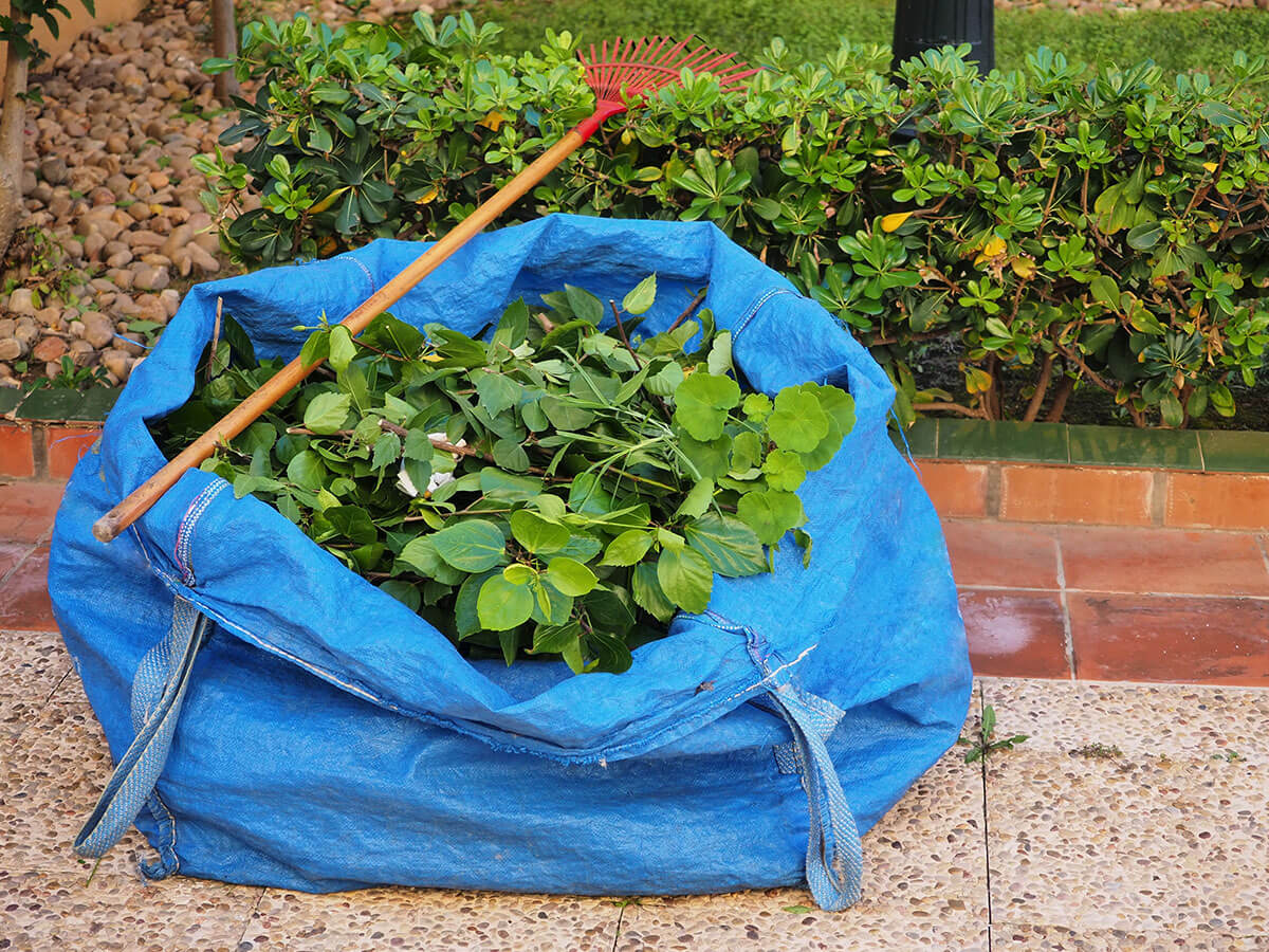 Efficient Green Waste Removal Sydney: What to Expect