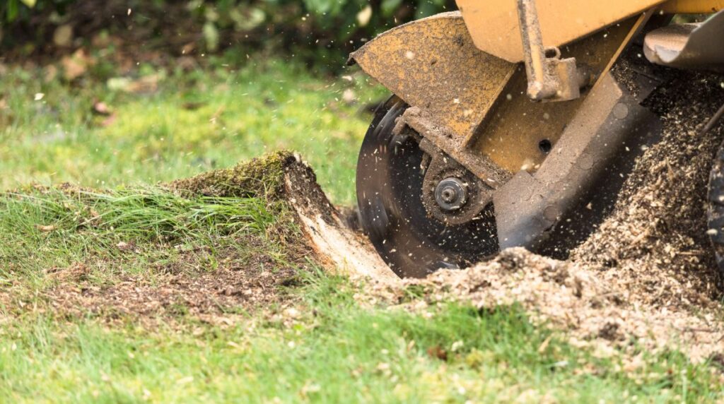 Stump Removal