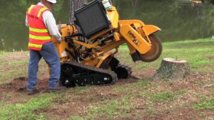 Stump Removal