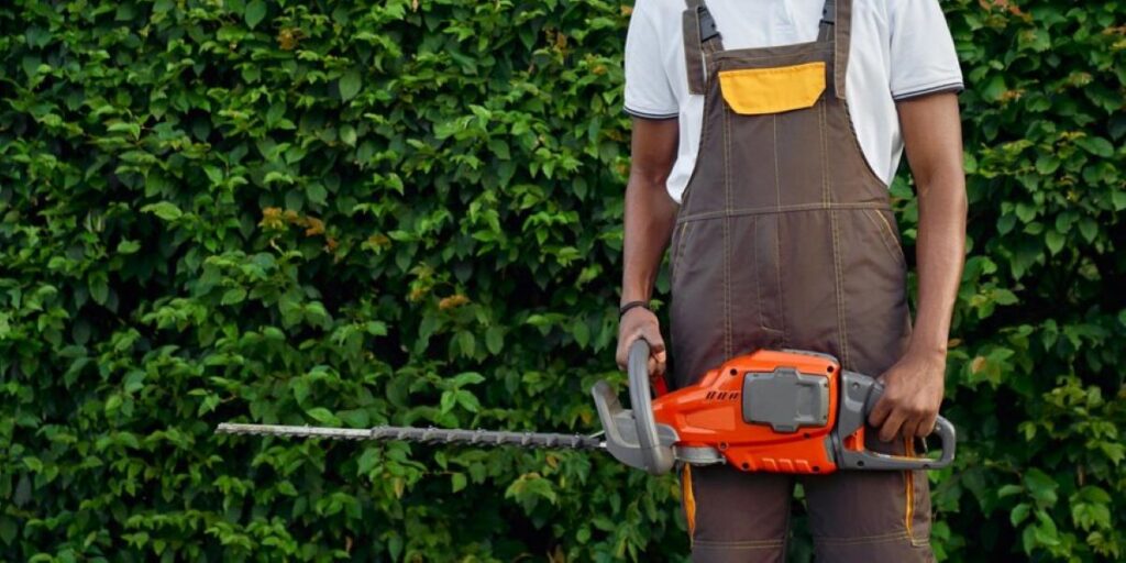 professional hedge trimming