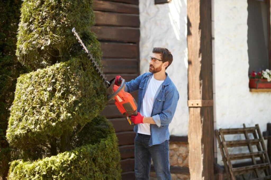 professional hedge trimming