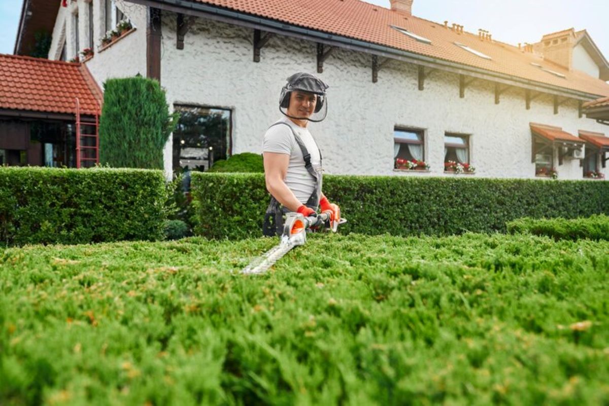 Professional Hedge Trimming Services for Perfectly Shaped Hedges