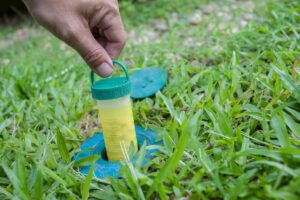 Termite Protection in Sydney