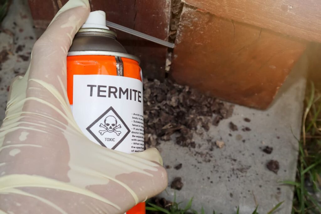 Termite Protection in Sydney