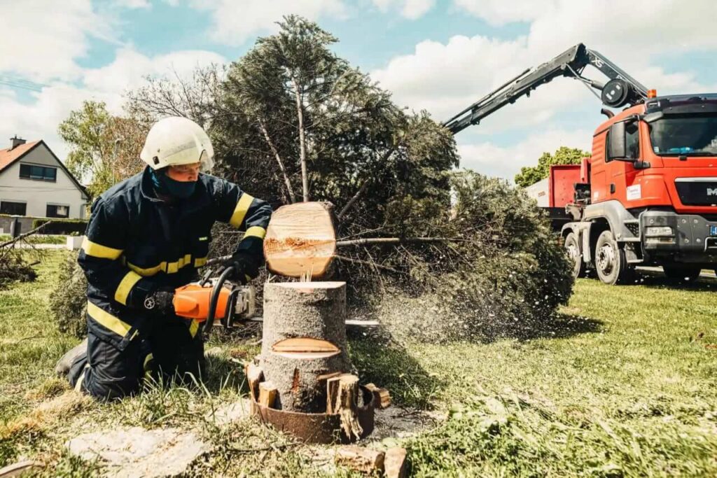 Land Clearing Tree Removal: Preparing Your Site