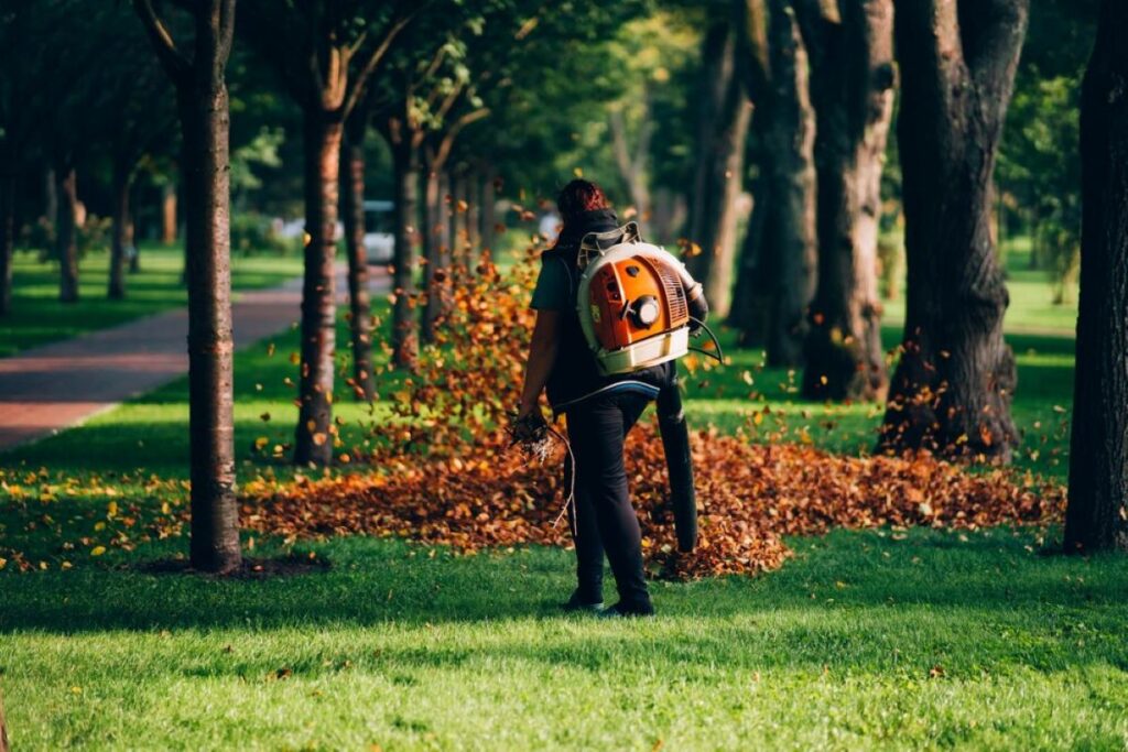 project arborist sydney
